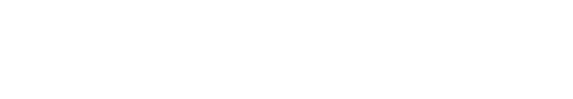 project icon